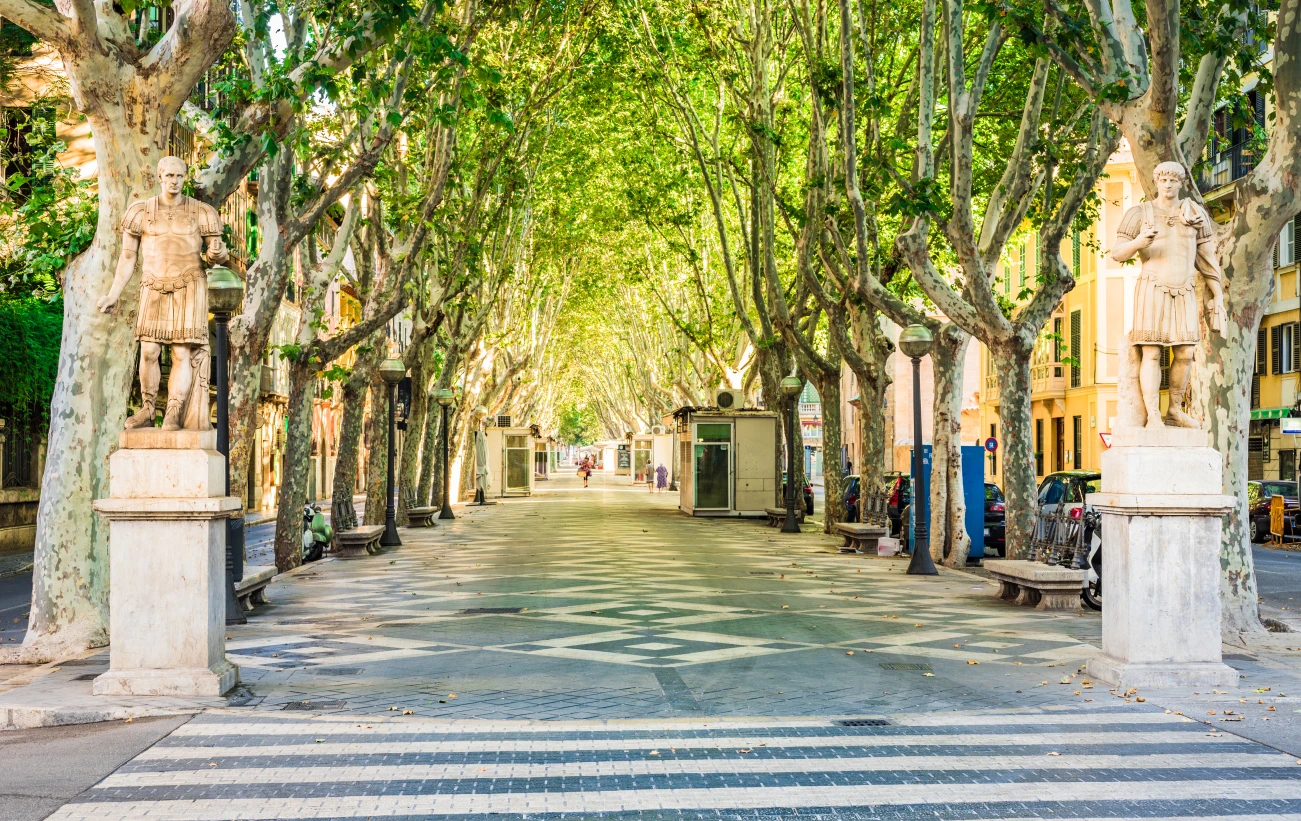 Wander through the vibrant streets of Barcelona
