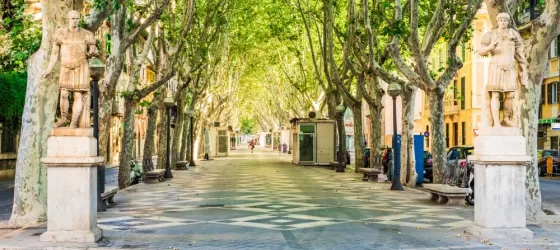 Wander through the vibrant streets of Barcelona