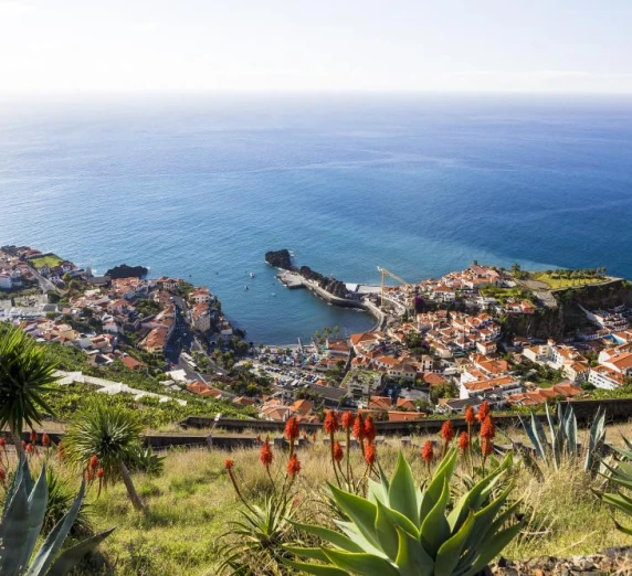 Explore for a stunning view of the sea