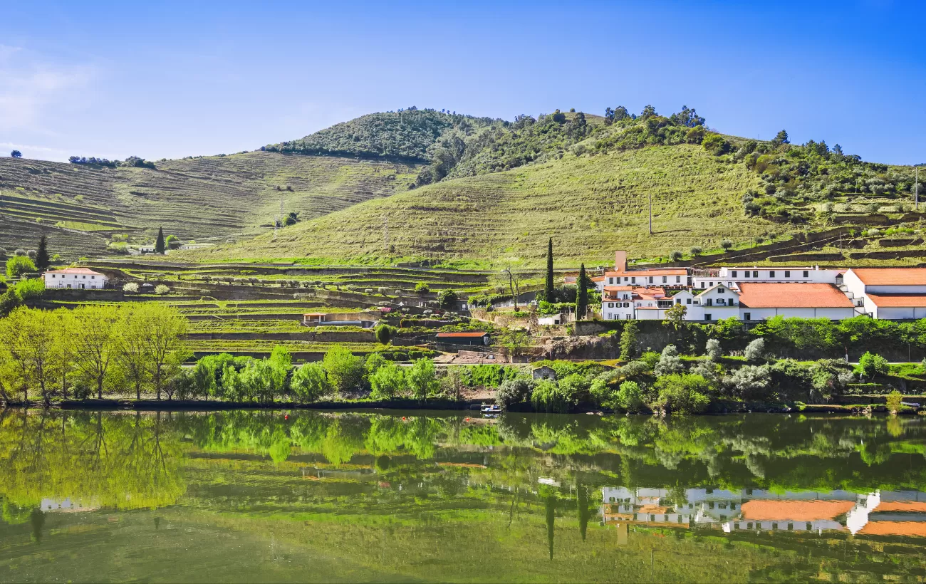 Cruise along the scenic Douro river
