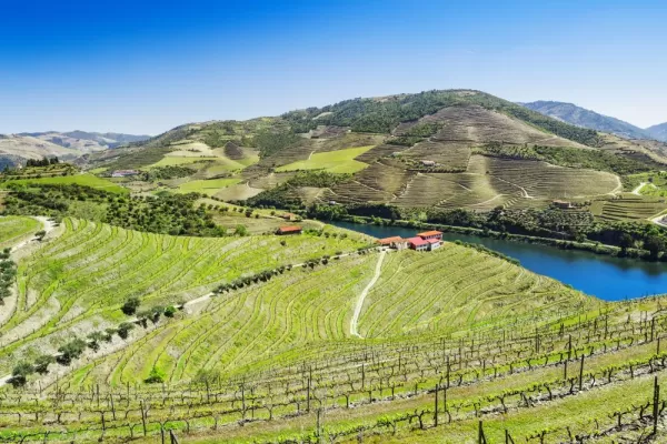 Relax in the countryside along the Douro river