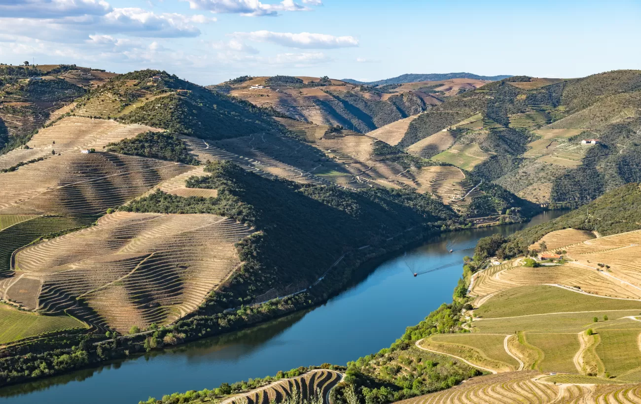 Cruise the beautiful Douro river