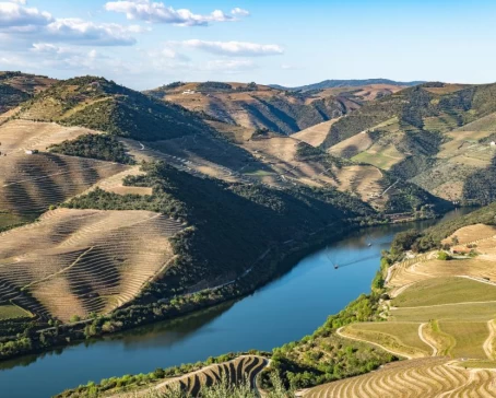 Cruise the beautiful Douro river