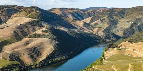 Cruise the beautiful Douro river