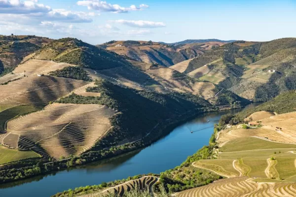 Cruise the beautiful Douro river