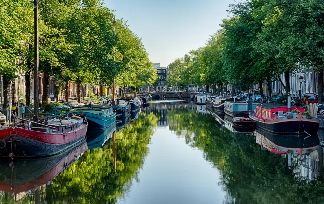 Enjoy a tranquil stroll in Amsterdam