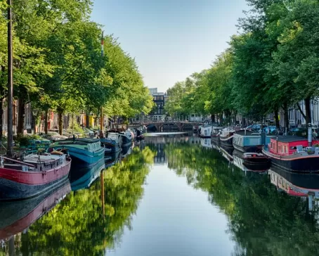 Enjoy a tranquil stroll in Amsterdam