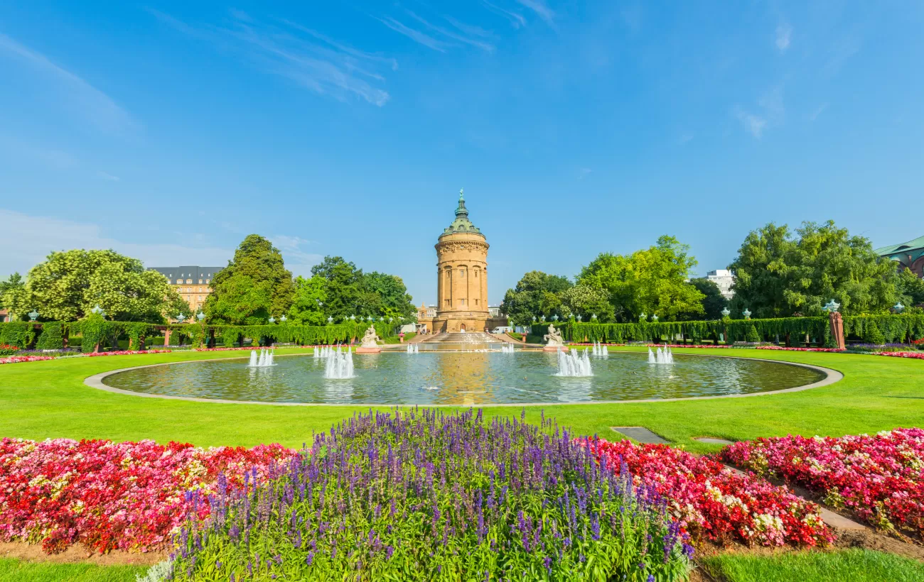 Spring flowers in Mannheim