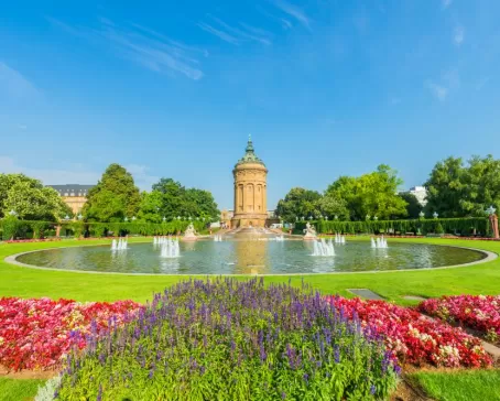 Spring flowers in Mannheim