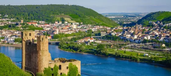 View castle ruins near Rudesheim