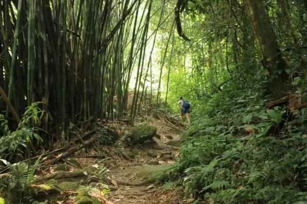 Trek through the Amazon