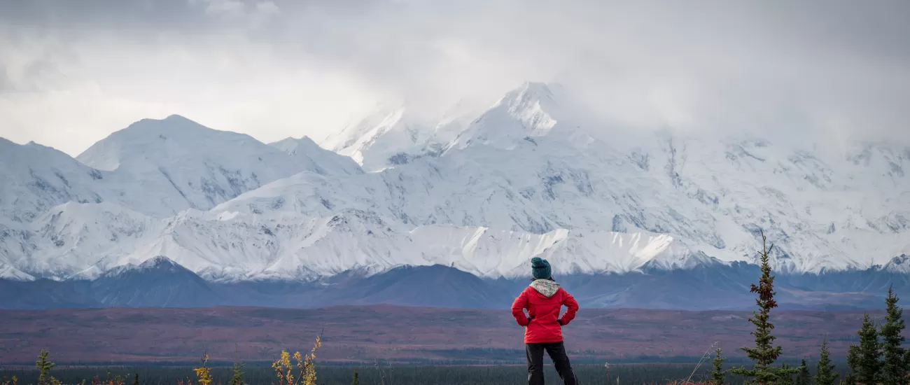 Enjoy a hike to try to see Denali