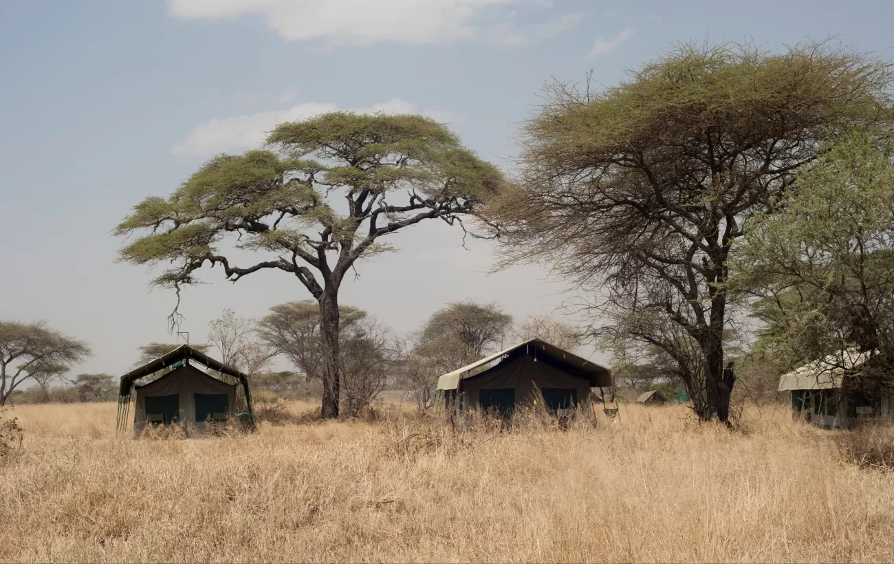 Serengeti Halisi Camp