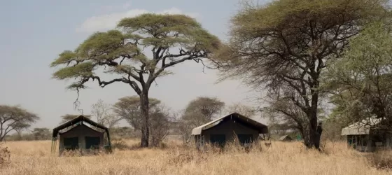 Serengeti Halisi Camp
