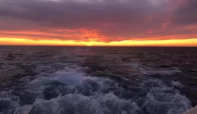 Beautiful sunset over the water