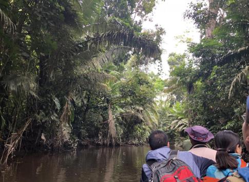 Feeling surrounded by the jungle as we paddle to La Selva.