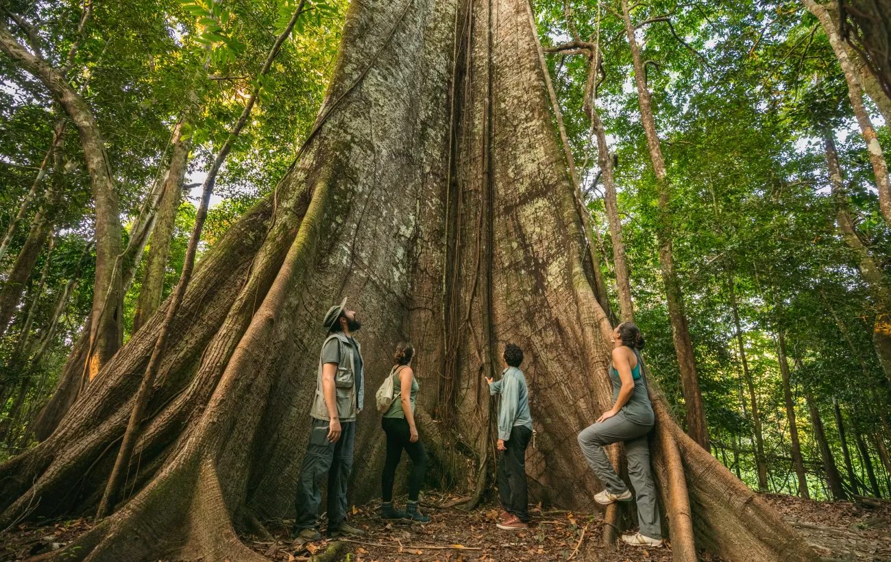 Visiting the  Rainforest in Brazil, On The Go Tours