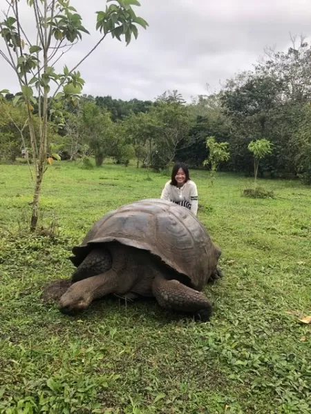 Nico's obligatory tortoise pic