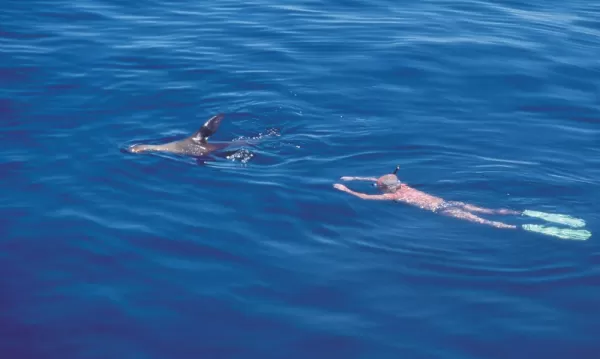 Snorkeling with a sea lion in the warm waters of the Galapagos
