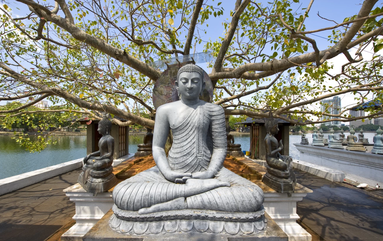 Buddha statue at a temple complex in Colombo