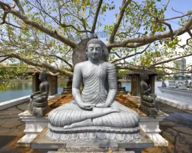 Buddha statue at a temple complex in Colombo