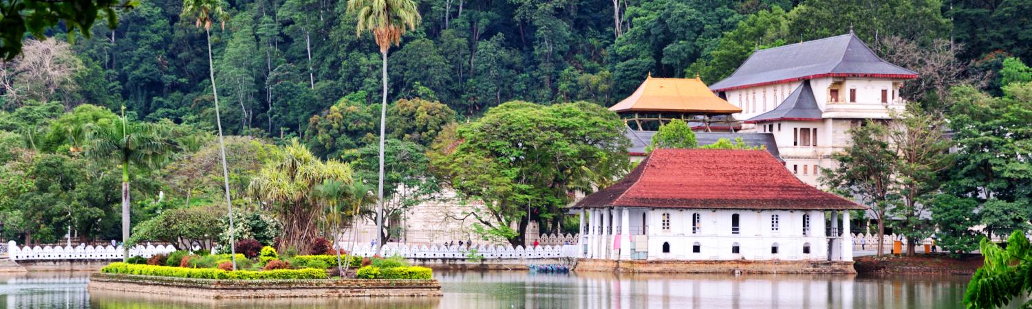 4 Best 2022 Sri Lanka Trips, Tours & Vacation Packages