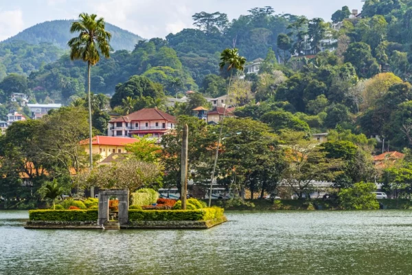 Lush green jungle lines Kandy Lake