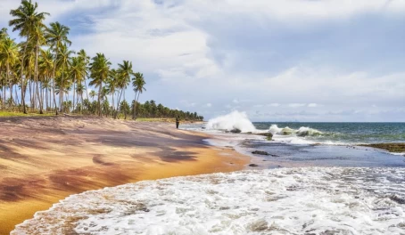 Relax on the sunny beaches of Negombo