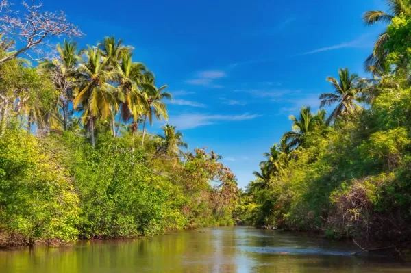 Visit the historic Dutch canals that flow through Sri Lanka