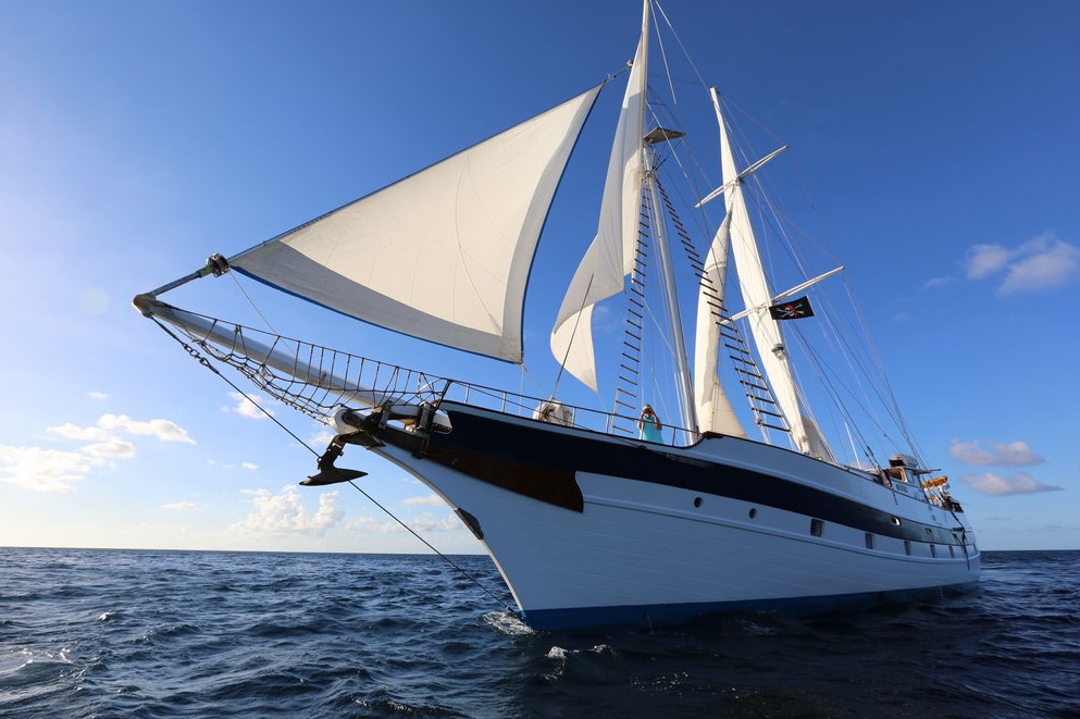 sailboat cruises reviews