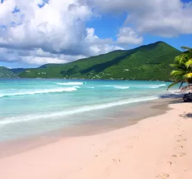 Enjoy the tranquil beaches of Tortola