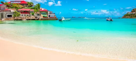  Grenada Marine Life: Tribal Rhythms of the Sea Grenada