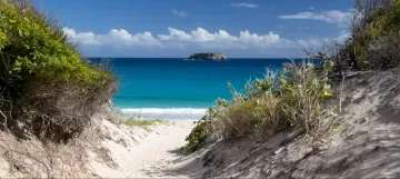 Christmas Vacation In Caribbean 2022 20 Best Small Caribbean Small Ship Cruises, Ships, Windjammers & Sailboats  For 2022-2023