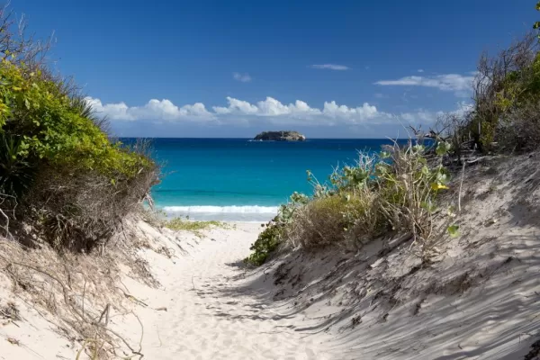 Stroll along the white sandy beaches of St. Barth's