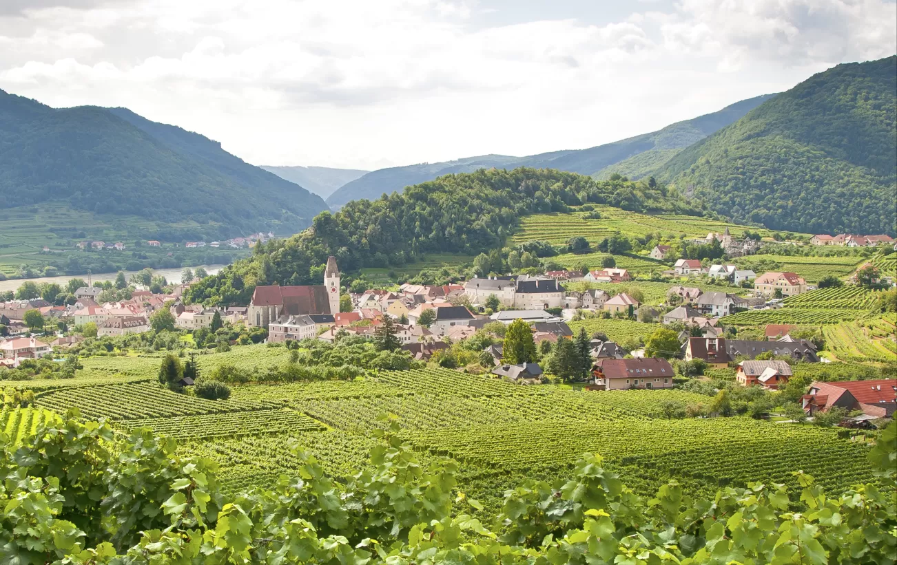 Explore the winemaking regions of Austria