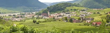 Explore the winemaking regions of Austria