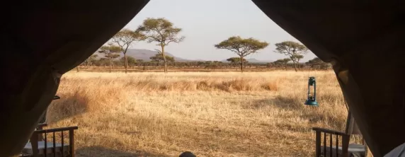 Kati Kati traditional bushcamp in the Serengeti