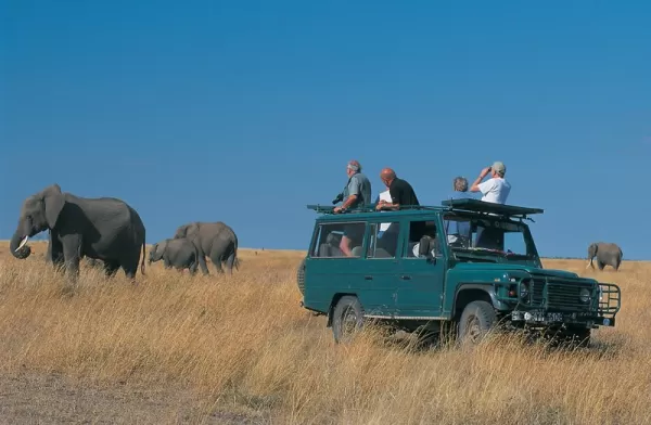 Experience a safari in Kenya