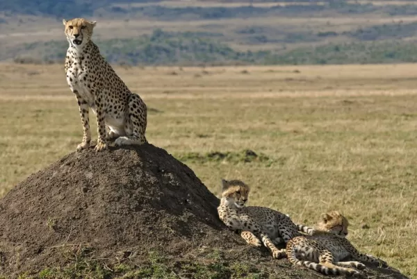 A family basks in the warm Kenyan sun