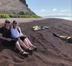 Rabida Island - Sea Lions lounging