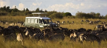 Enjoy game drives led by trained naturalist guides