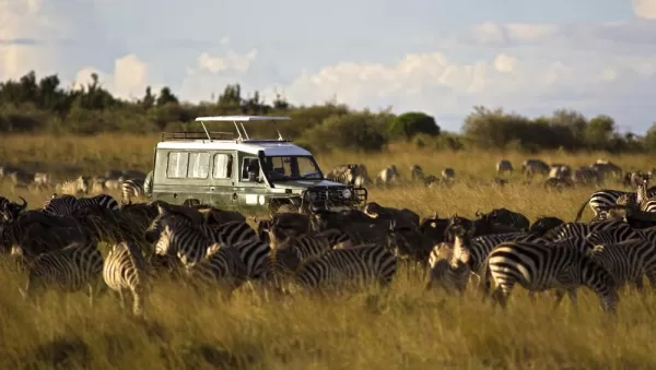 Enjoy game drives led by trained naturalist guides