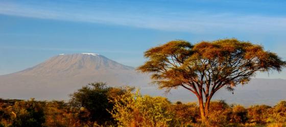 Golden morning light over the Tanzania landscape