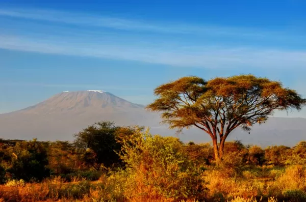 Golden morning light over the Tanzania landscape
