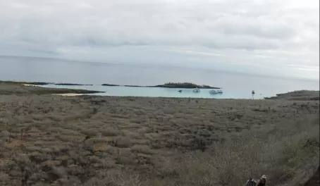 Exploring the Galapagos