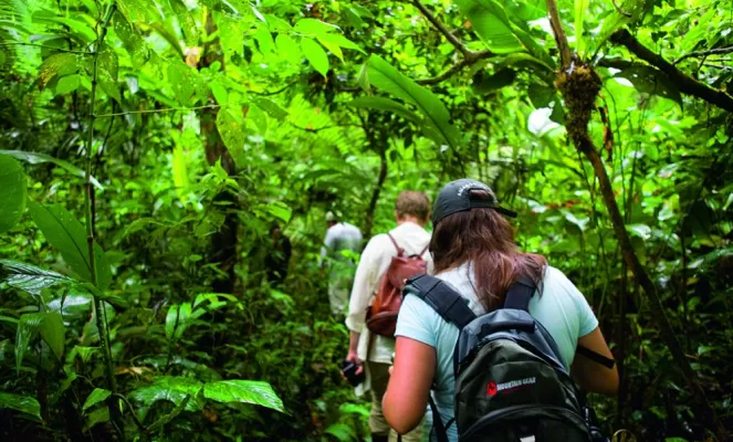 Take a guided walking tour in the Amazon