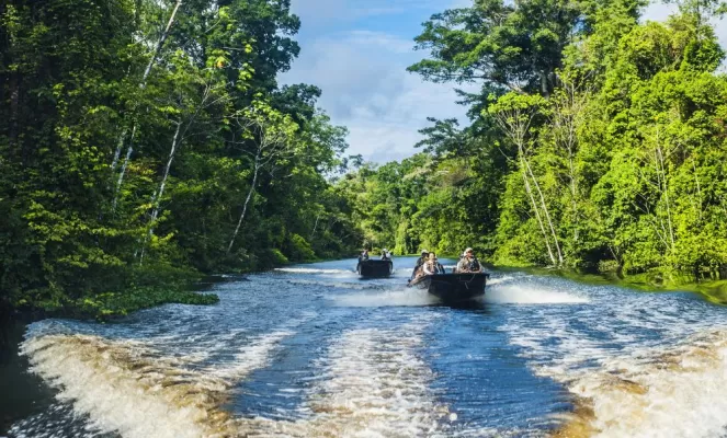 Take a skiff excursion on the Amazon river