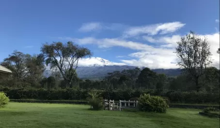 Mount Kilimanjaro welcomed us on our first morning in Tanzania.