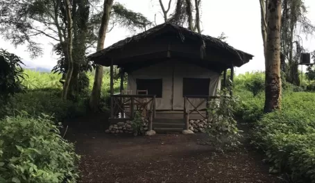Our home for the evening at Migunga Tented Camp.