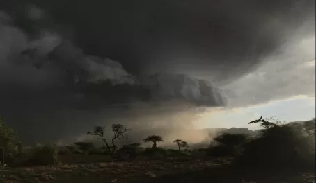 We witnessed some epic storms while at Lake Natron. Just gorgeous.